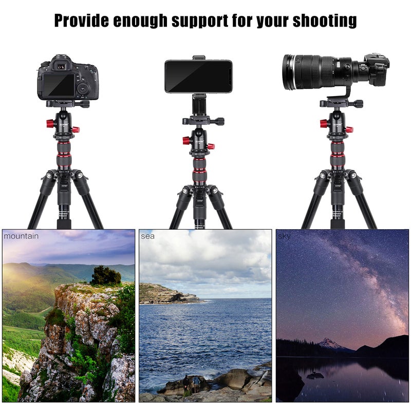 ZOMEI M5 Camera Tripod,Lightweight Travel Aluminum Tripod Monopod Compact Portable Photography Tripod Stand with 360 Degree Ball Head and Phone Clip for DSLR Cameras, Smartphone - Image 3